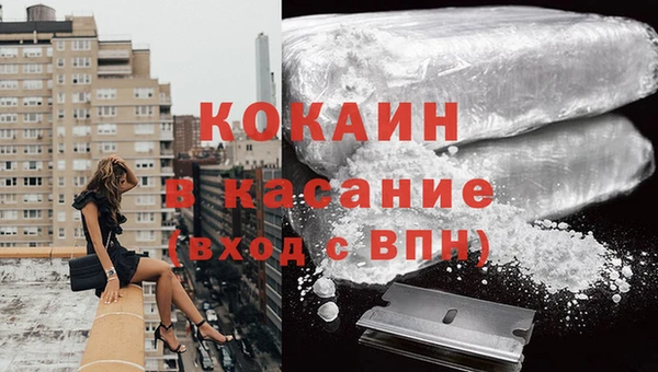 индика Алзамай
