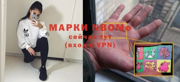 индика Алзамай