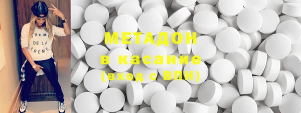 индика Алзамай