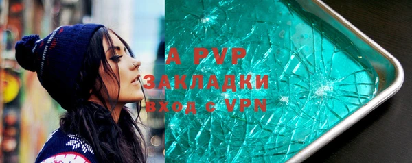 индика Алзамай