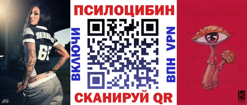 Галлюциногенные грибы Psilocybe Сольцы